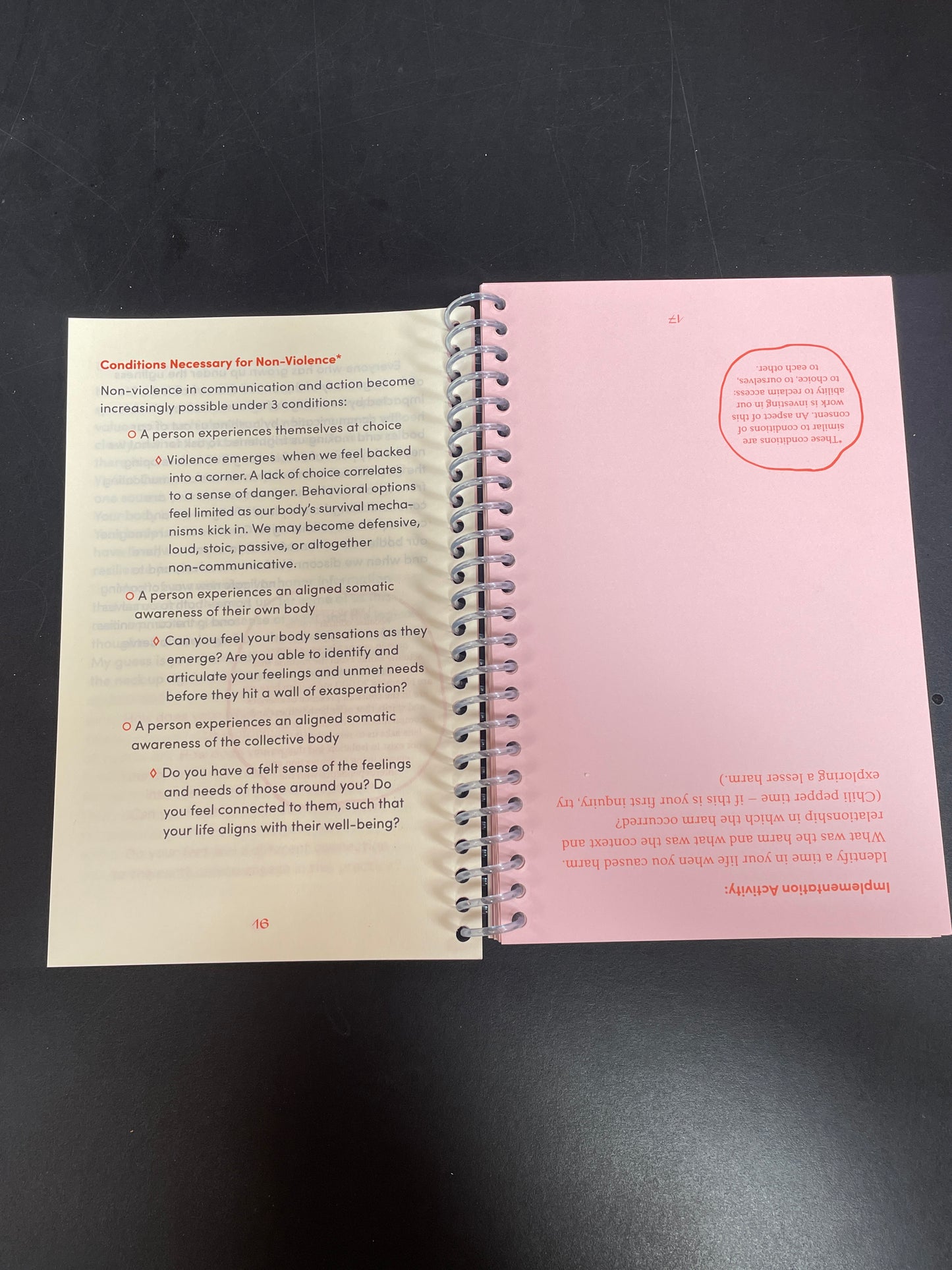 Decolonizing Non-Violent Communication Second Edition: MISPRINTS + MINOR IMPERFECTIONS