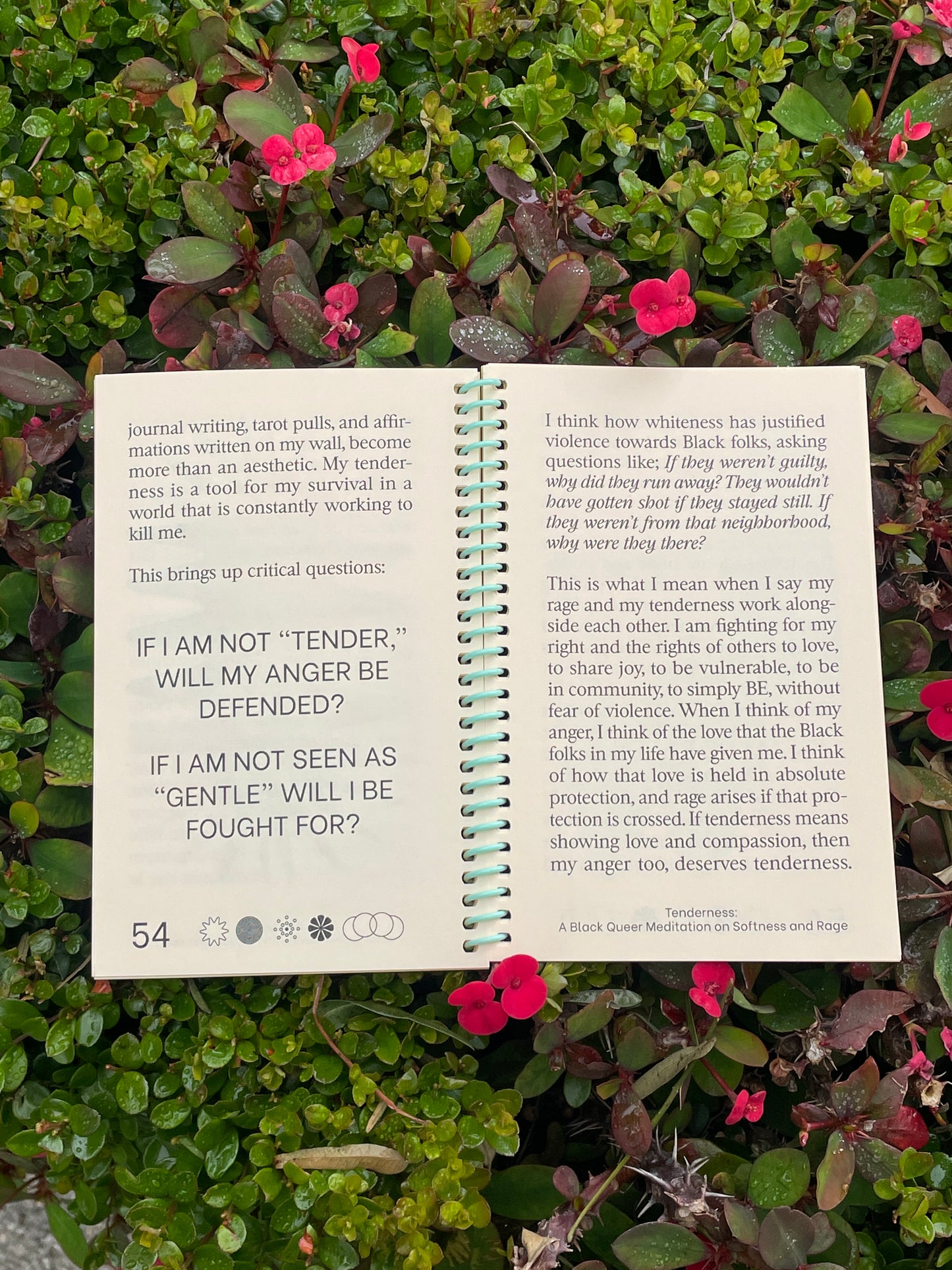 Tenderness: A Black Queer Meditation on Softness and Rage (Second Edition)