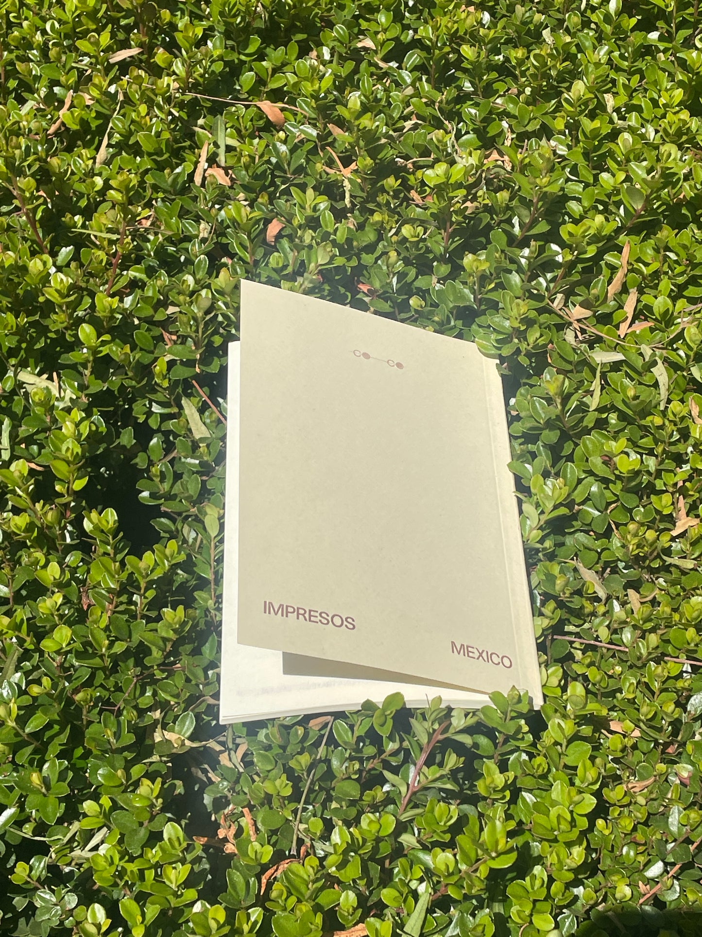 Experimentos en Alegría: un libro de ejercicios