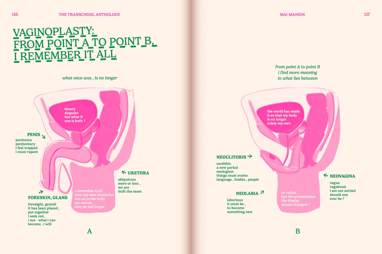 Transchool: Volume 1 – PDF Download