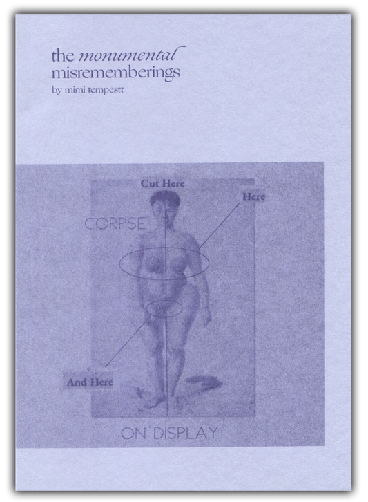 the monumental misrememberings PDF Download