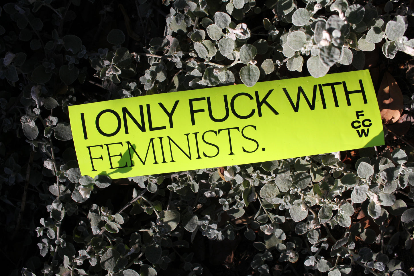 FCCW Bumper Stickers