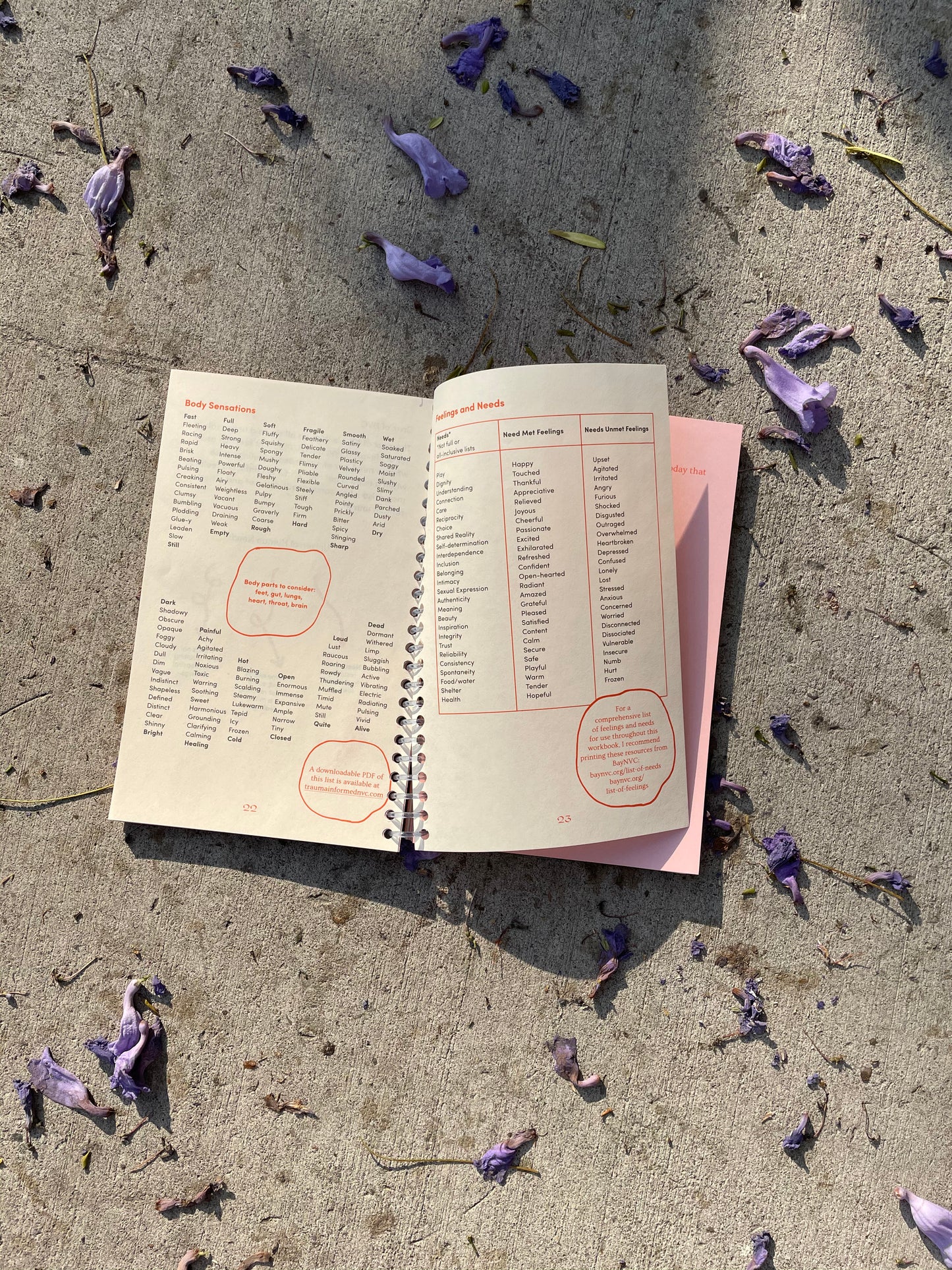 Decolonizing Non-Violent Communication Third Edition