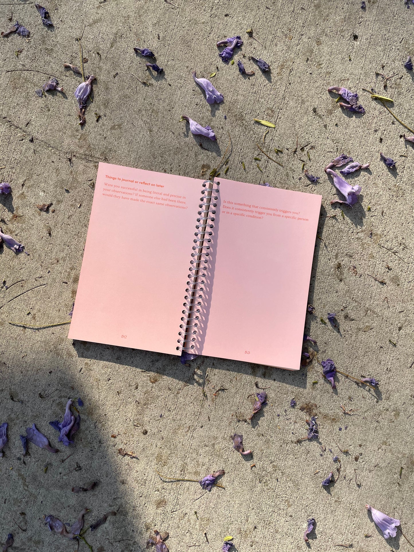 Decolonizing Non-Violent Communication Third Edition