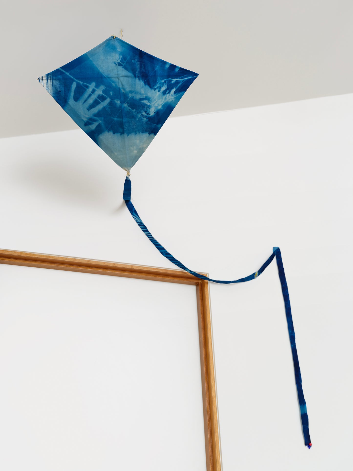 Artist in Residence Edition: Cyanograph Kites made with Silvi Naçi