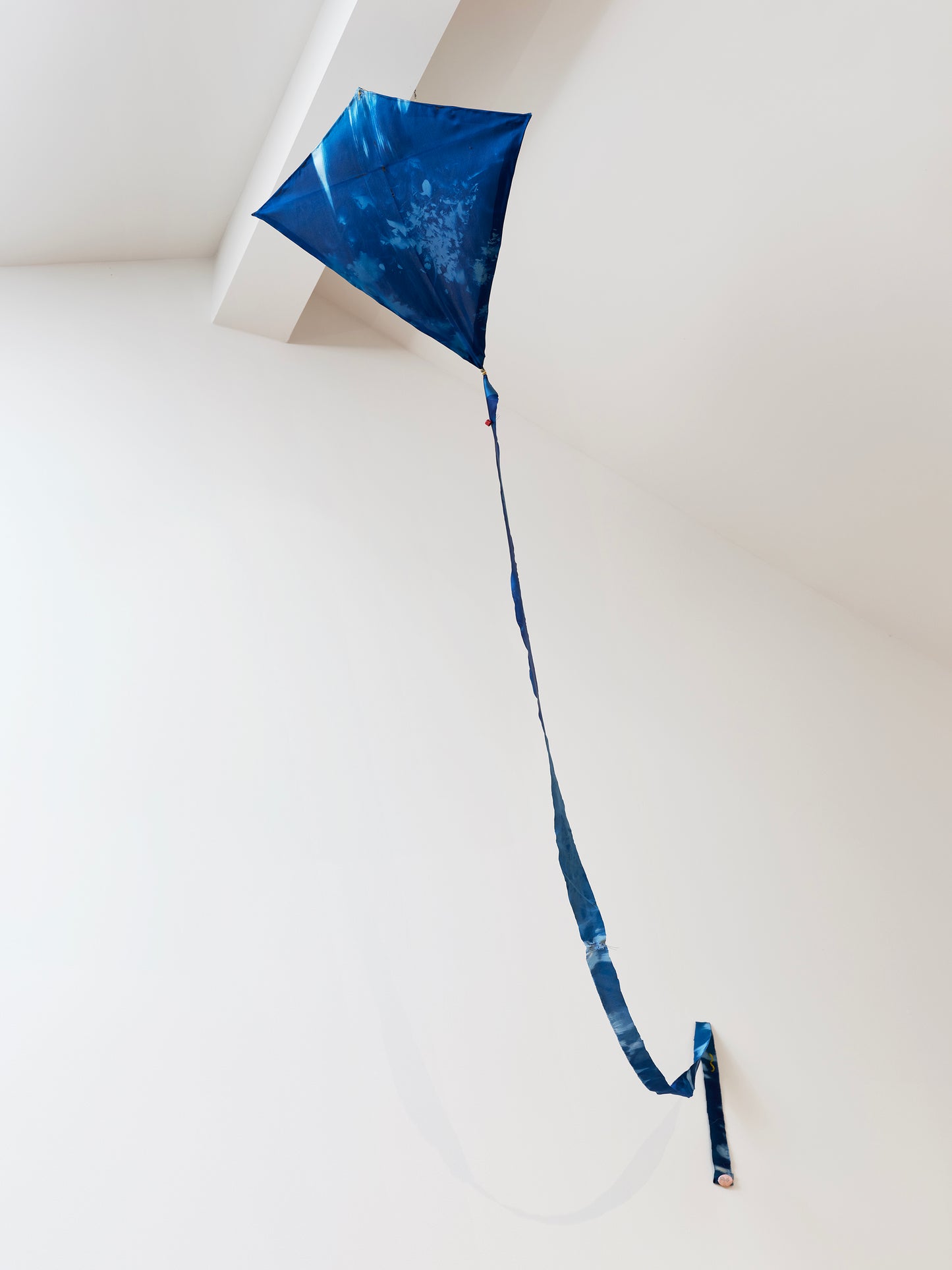 Artist in Residence Edition: Cyanograph Kites made with Silvi Naçi