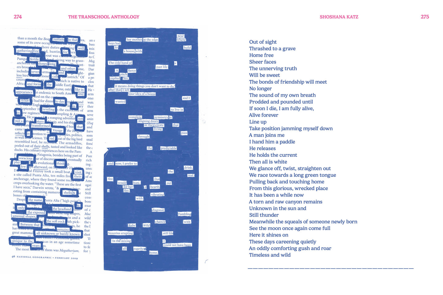 Transchool: Volume 2 Pre-Orders