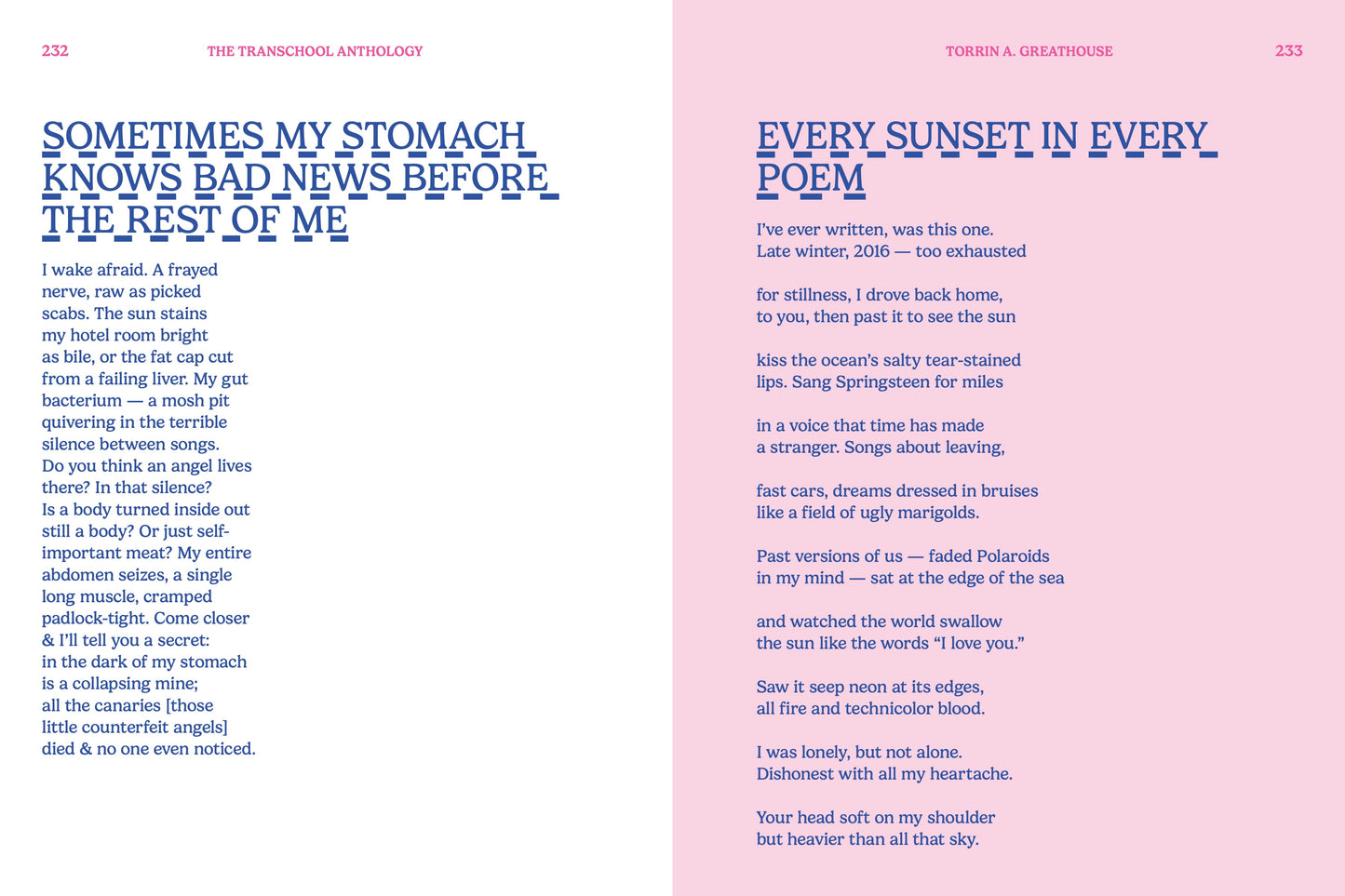 Transchool: Volume 2 Pre-Orders